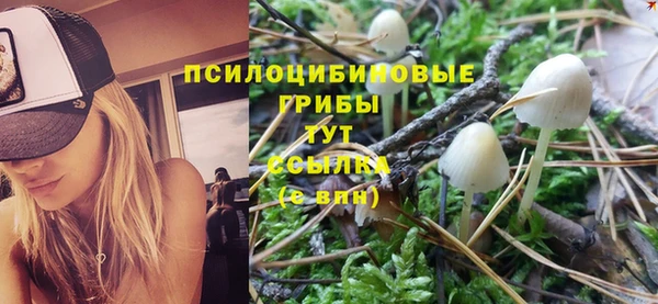 jwh Алексеевка