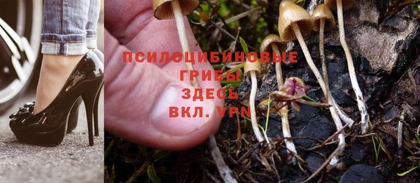 таблы Алексин
