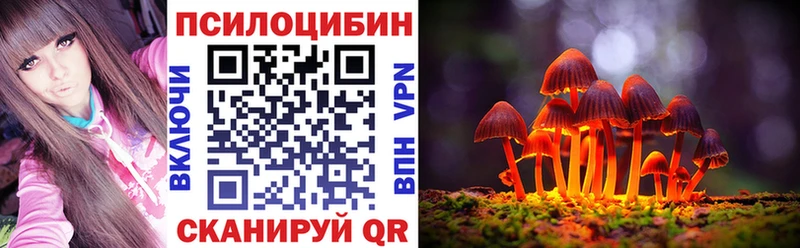 Галлюциногенные грибы MAGIC MUSHROOMS  хочу наркоту  Плавск 
